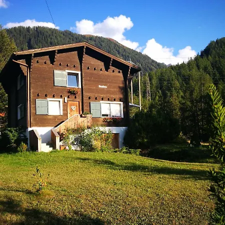 Chalet Bosbes