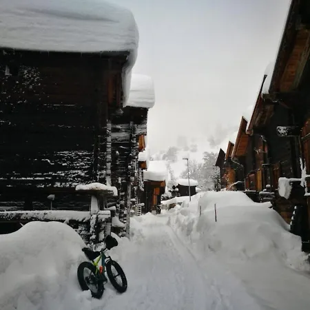 Chalet Bosbes