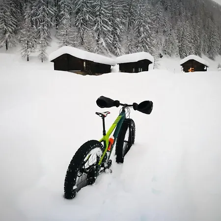Chalet Bosbes Reckingen