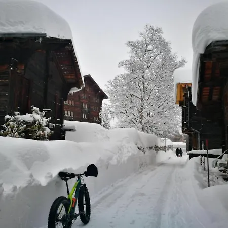 Chalet Bosbes Reckingen