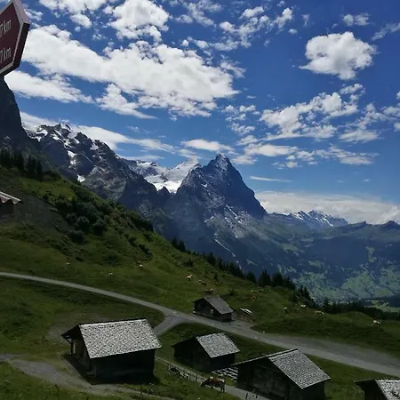 Chalet Bosbes Apartment