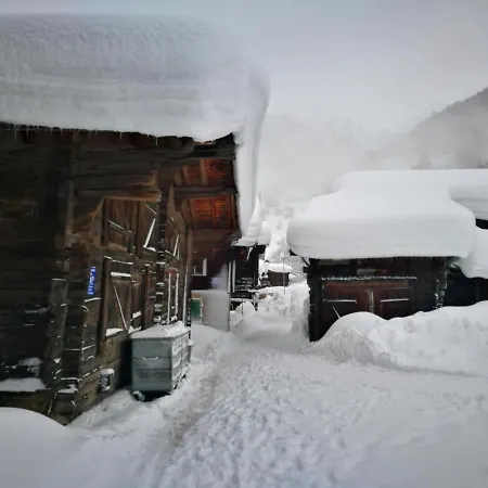 Chalet Bosbes Apartment